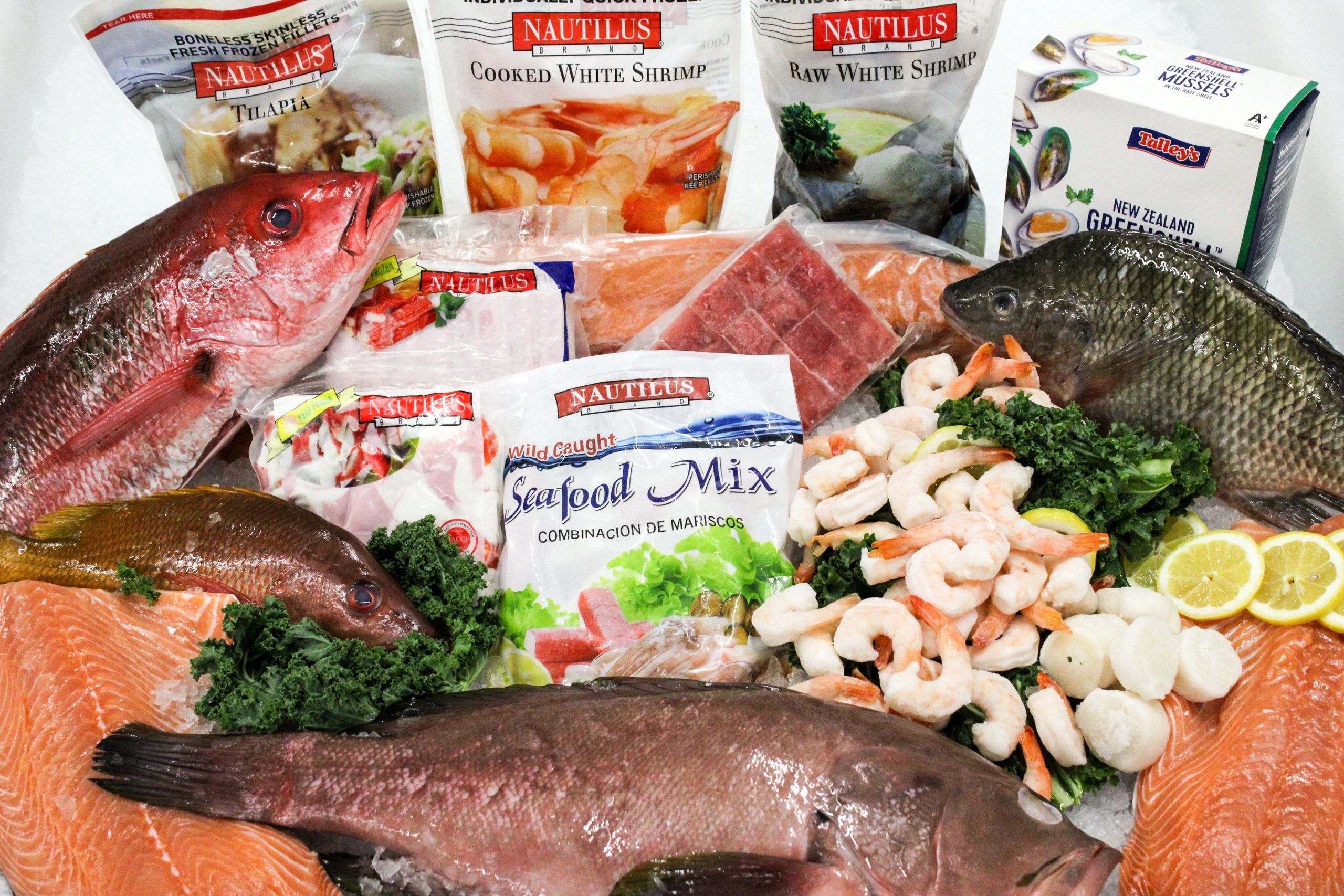 Nautilus Seafood Bulk and retail squid Nautilus Seafood